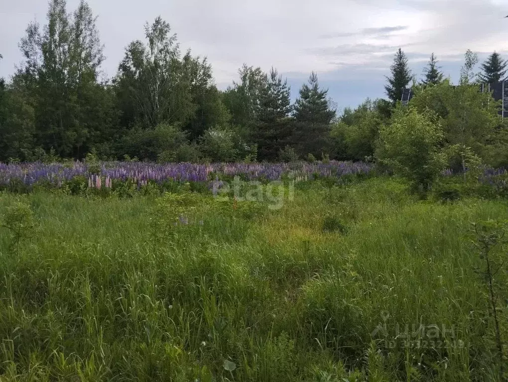 Участок в Башкортостан, Иглинский район, Балтийский сельсовет, д. ... - Фото 1