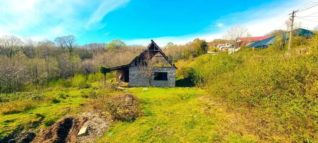 Участок в Краснодарский край, Сочи городской округ, с. Детляжка ул. ... - Фото 0