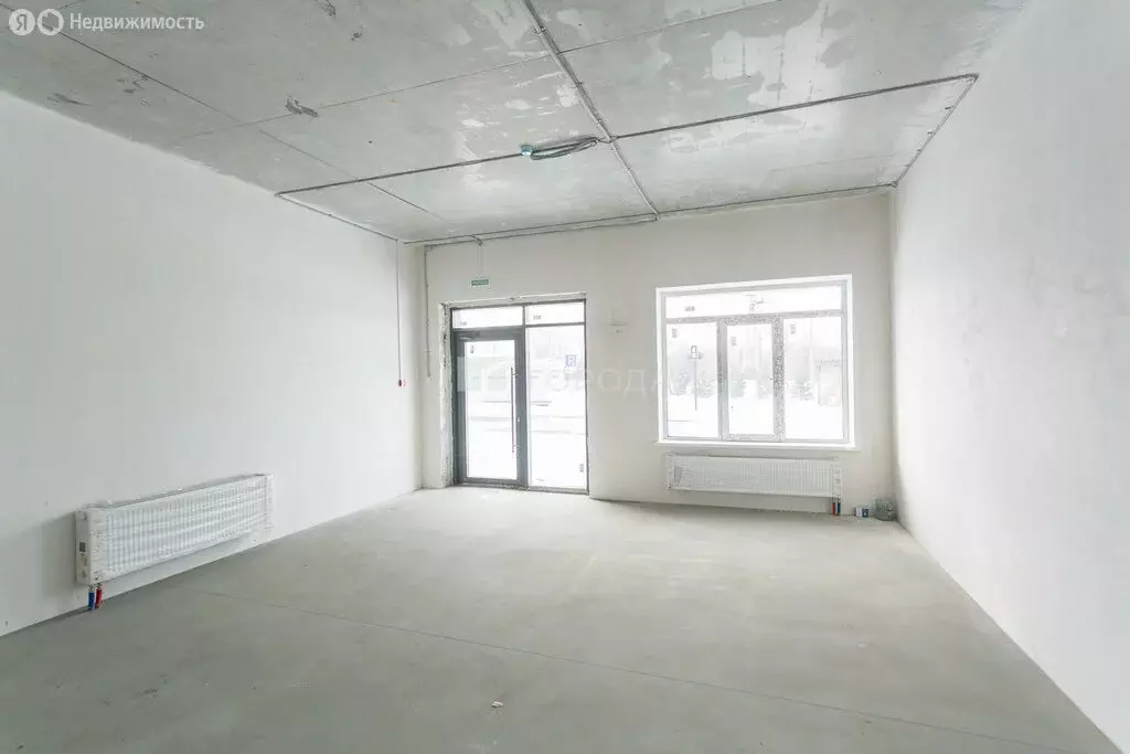 Помещение свободного назначения (40.9 м) - Фото 1
