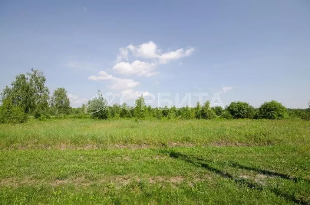 Участок в Тюменская область, Тюменский муниципальный округ, с. Княжево ... - Фото 1