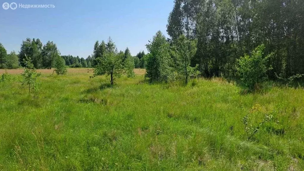 Участок в Тулиновка, Молодёжная улица, 50 (12.5 м) - Фото 1
