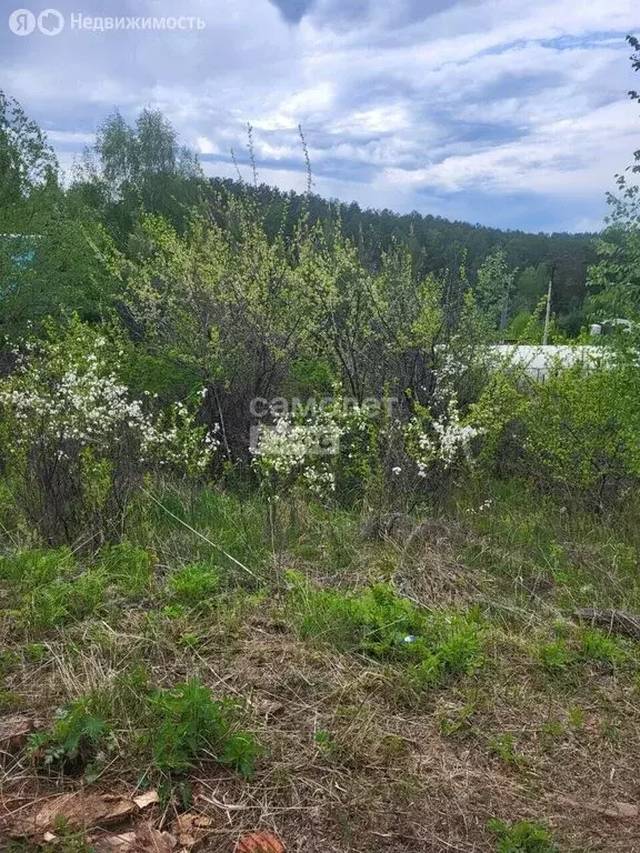 Участок в Иркутский муниципальный округ, СНТ Кедр, 145 (6 м) - Фото 1