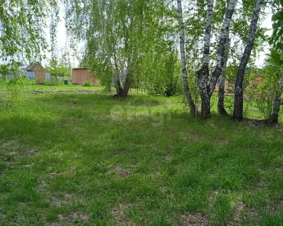 Участок в Бердск, СНТ Росинка, 15-я улица (5 м) - Фото 0
