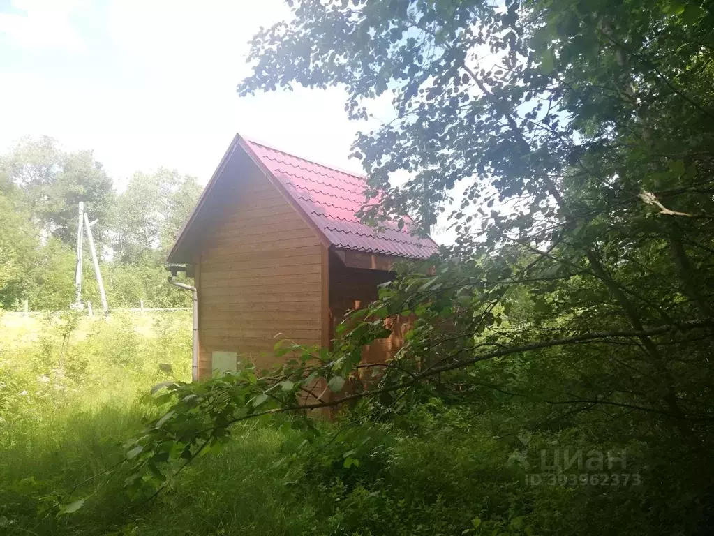 Дом в Новгородская область, Чудовский район, Трегубовское с/пос, д. ... - Фото 1