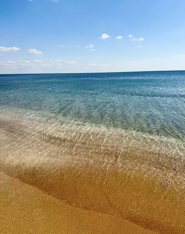 Комната 15 м, 2/3 эт. - Фото 0