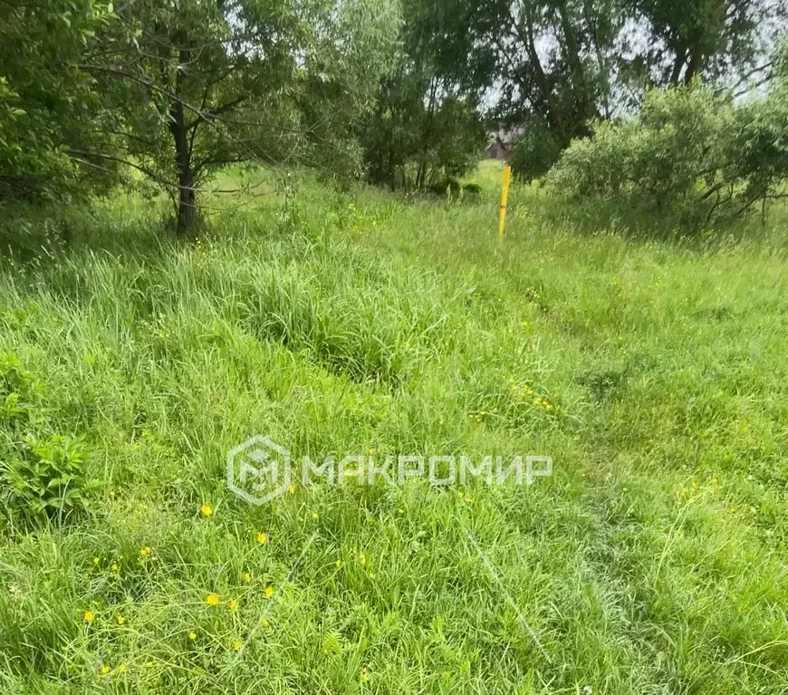 Участок в Брянская область, Брянск Большое Полпино пгт, ул. ... - Фото 1
