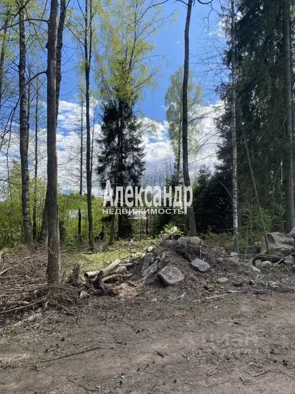 Участок в Ленинградская область, Выборгский район, Селезневское с/пос, ... - Фото 2