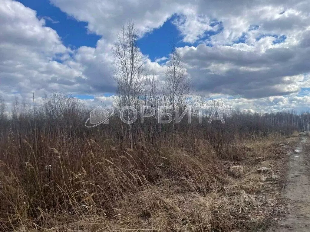 участок в тюменская область, тюмень царево садовое товарищество, (6.0 . - Фото 1