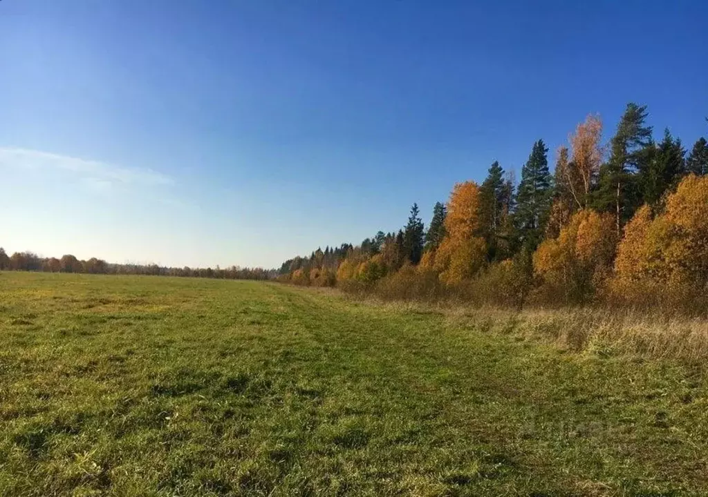 Участок в Ленинградская область, Всеволожский район, Юкковское с/пос, ... - Фото 1
