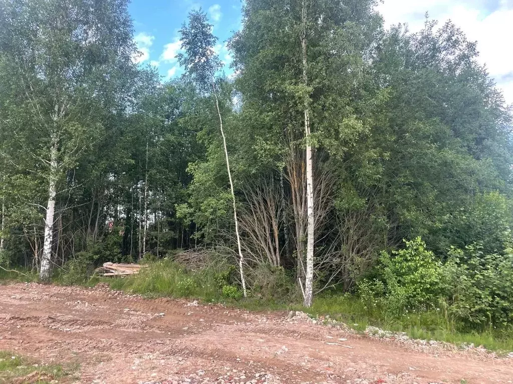 Участок в Московская область, Талдомский городской округ, д. Кишкиниха ... - Фото 0