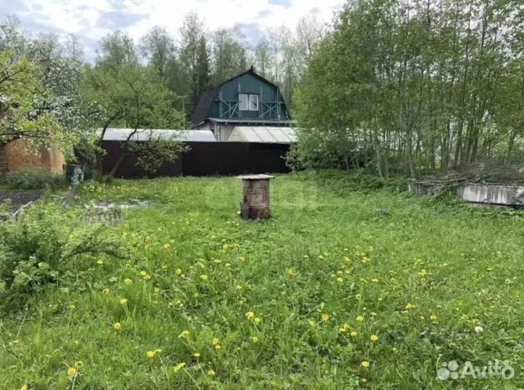 Участок в Ленинградская область, Кировский район, Синявинское ... - Фото 2