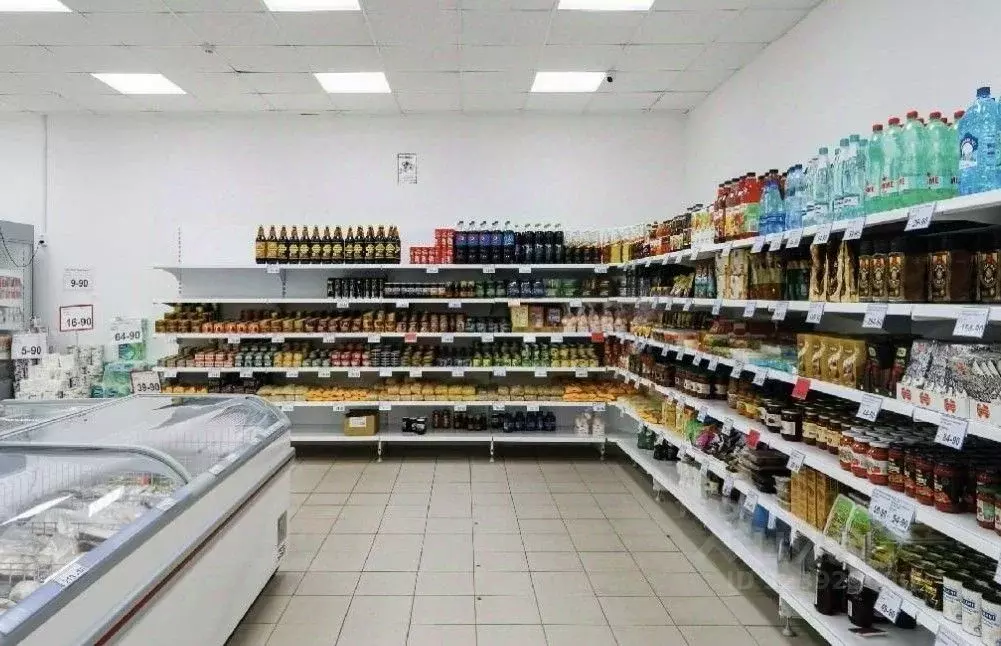 Торговая площадь в Санкт-Петербург Будапештская ул., 53 (194 м) - Фото 1