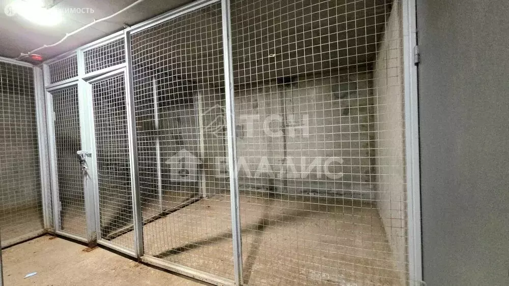 Помещение свободного назначения (8.9 м) - Фото 2