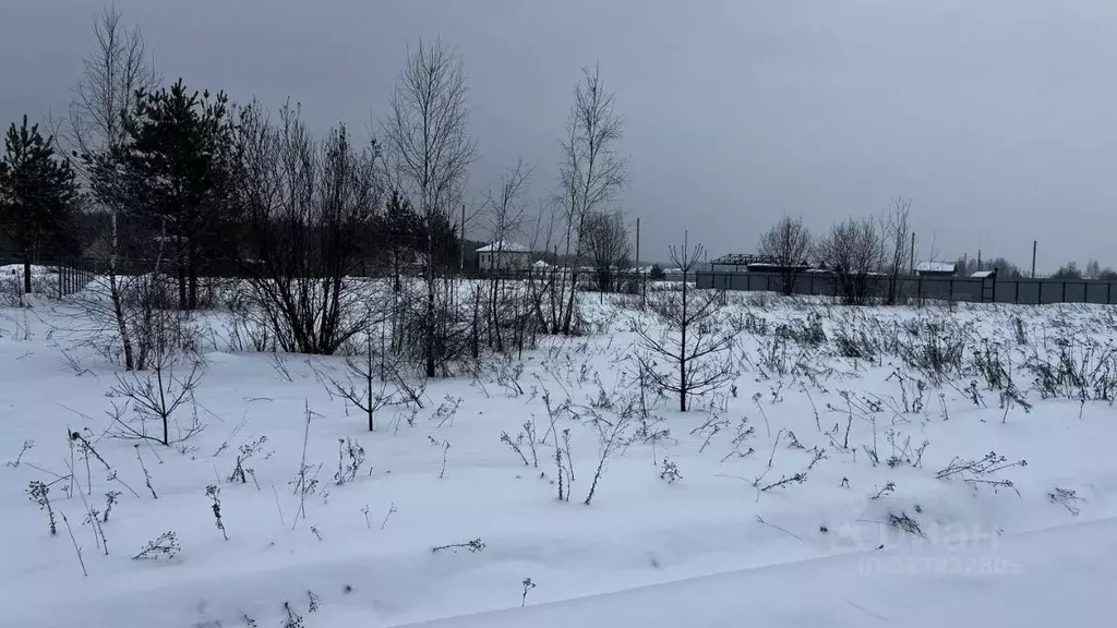 Участок в Московская область, Раменское Дергаево-2 кп, ул. Маршала ... - Фото 2