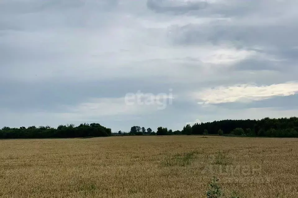 участок в свердловская область, горноуральский городской округ, с. . - Фото 1