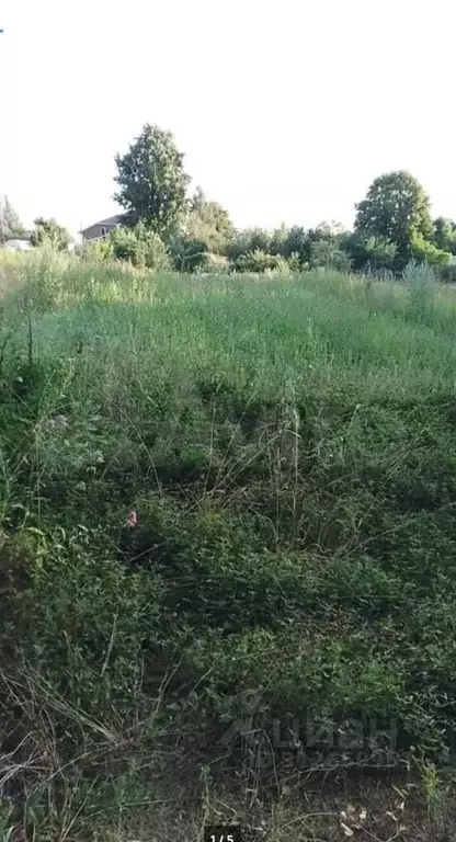 Участок в Владимирская область, Суздальский район, Новоалександровское ... - Фото 1