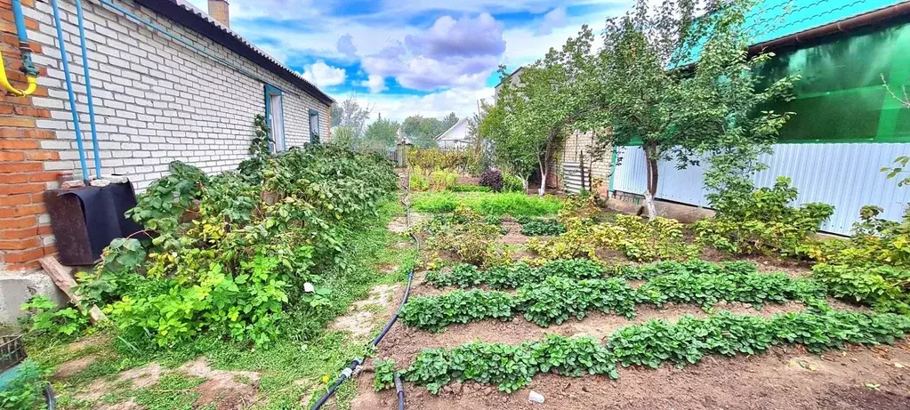 Дом, 48.7 м - Фото 2