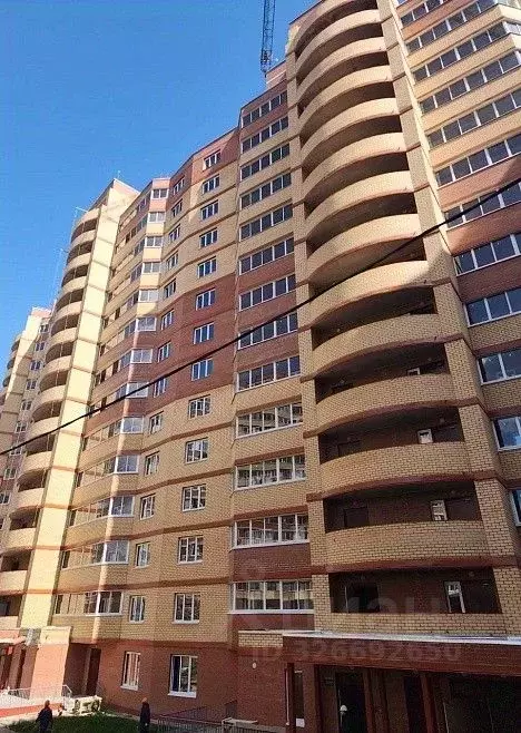 2-к кв. Московская область, Дмитровский муниципальный округ, д. ... - Фото 2