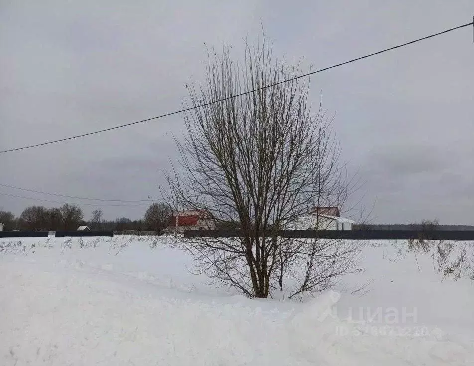 Участок в Московская область, Егорьевск муниципальный округ, пос. ... - Фото 1