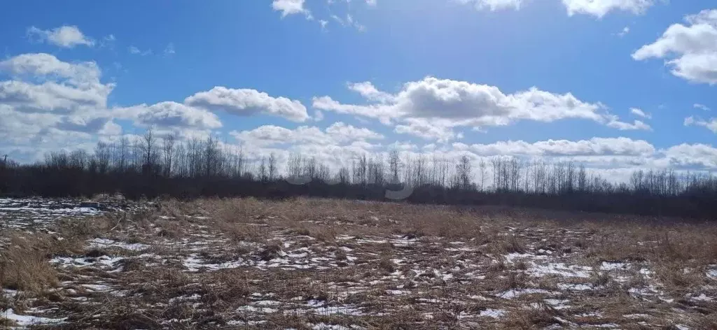 Участок в Вологодская область, Шекснинский муниципальный округ, д. ... - Фото 2