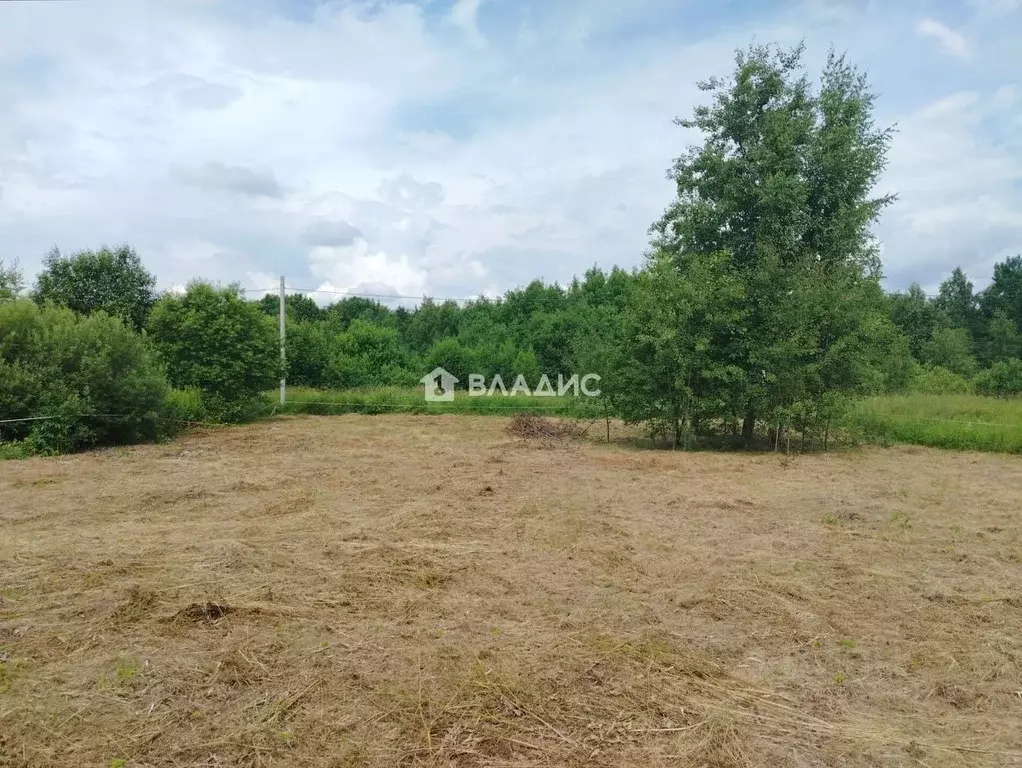 Участок в Московская область, Электросталь городской округ, д. Есино  ... - Фото 2