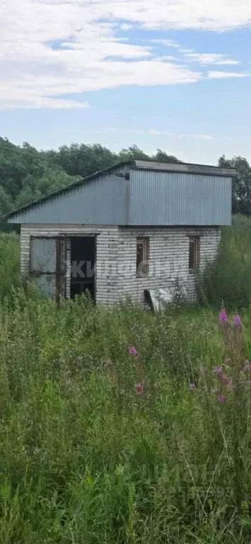 Участок в Новосибирская область, Коченевский район, д. Чик ул. ... - Фото 1