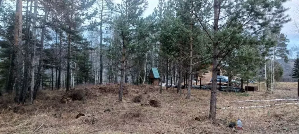 Участок в Красноярский край, Дивногорск городской округ, с. Овсянка  ... - Фото 1