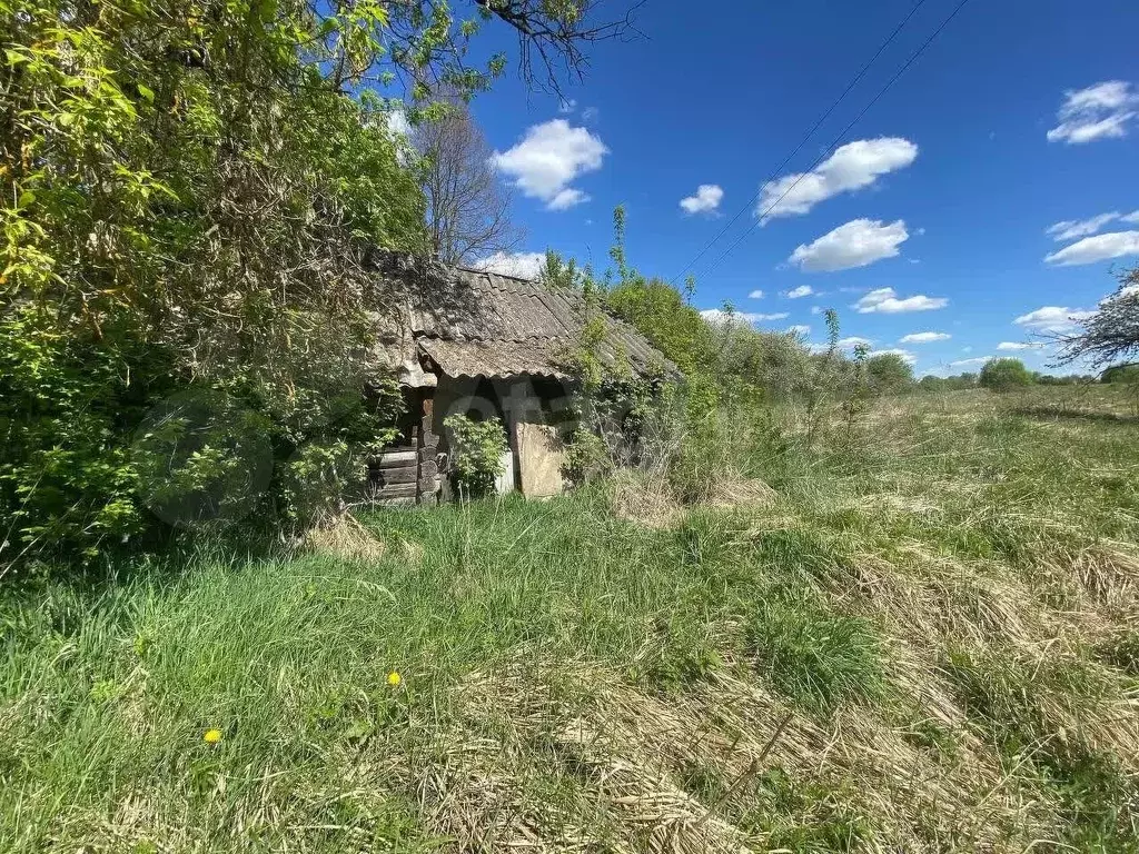 Участок 31 сот. (личное подсобное хозяйство (лпх)) - Фото 0