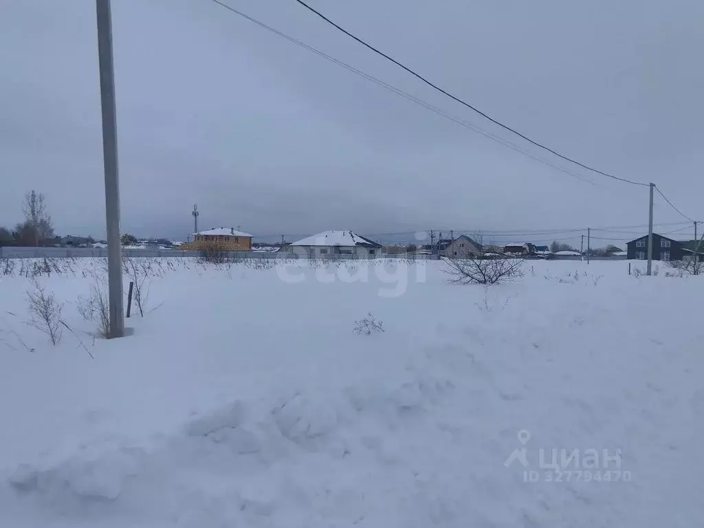 Участок в Тюменская область, с. Исетское ул. Свободы (15.0 сот.) - Фото 2