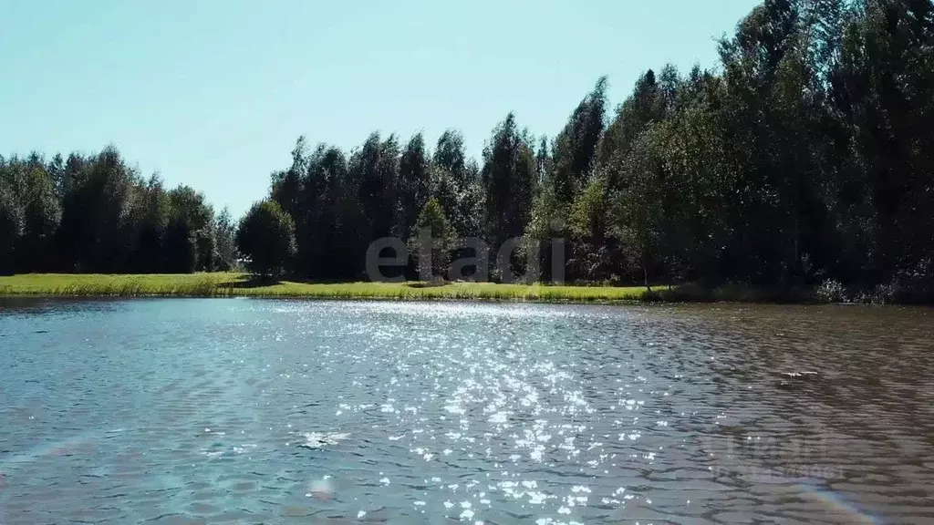 Участок в Московская область, Солнечногорск городской округ, д. ... - Фото 0