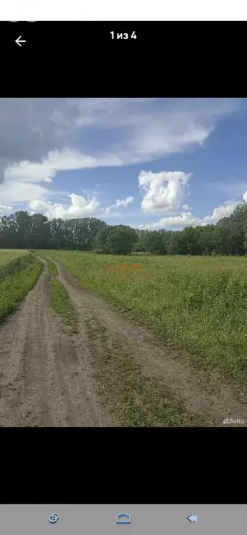 Участок в Киреевский район, сельское поселение Бородинское (45 м) - Фото 1