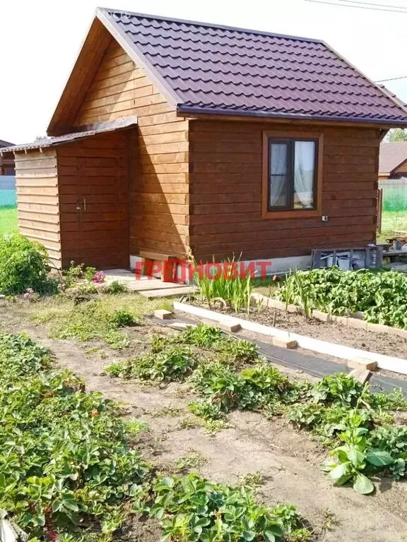 Участок в Быстровский сельсовет, коттеджный посёлок Экопарк, ... - Фото 1