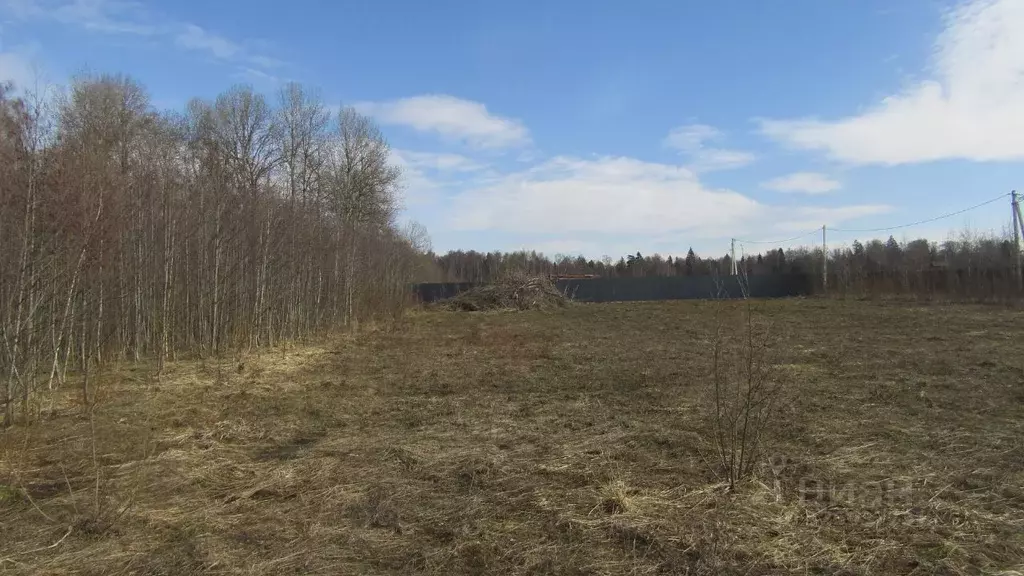 Участок в Московская область, Рузский муниципальный округ, с. ... - Фото 1