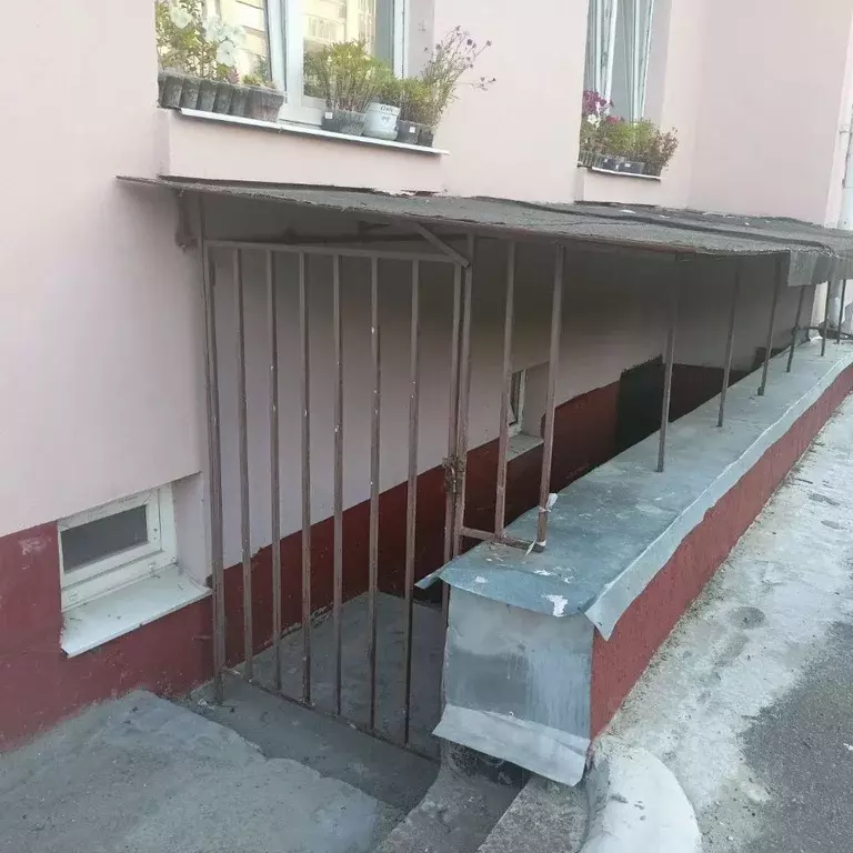 Помещение свободного назначения в Брянская область, Брянск ул. ... - Фото 0
