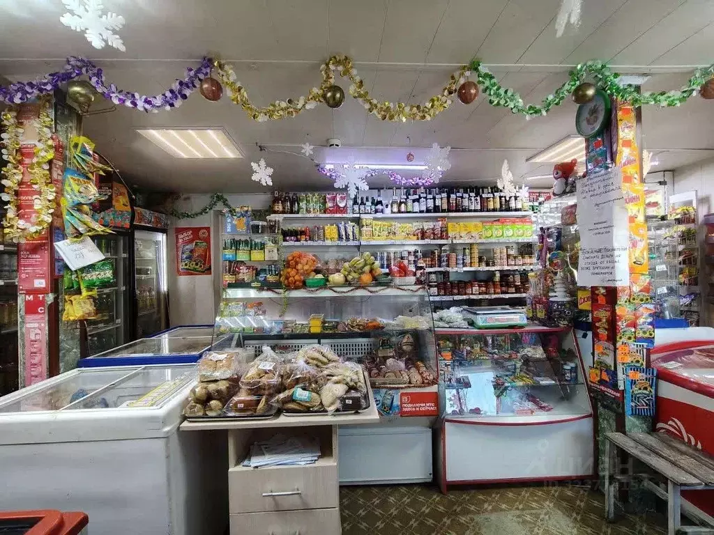 Торговая площадь в Забайкальский край, Чита пос. Рудник Кадала, Новая ... - Фото 1