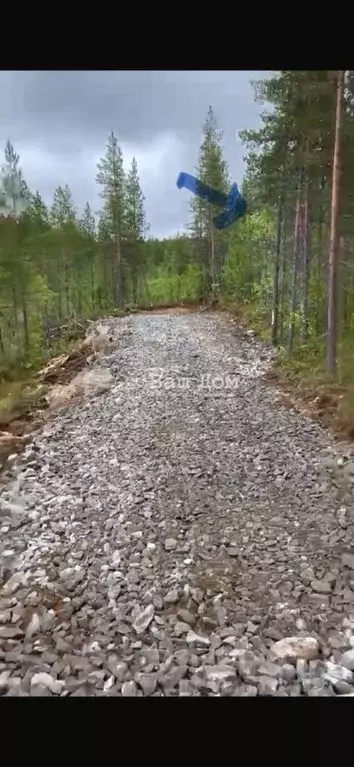 Участок в Мурманская область, Кольский муниципальный округ, с. ... - Фото 1