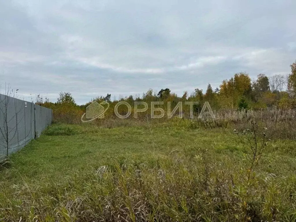 Участок в Тюменская область, Тюменский муниципальный округ, с. ... - Фото 2