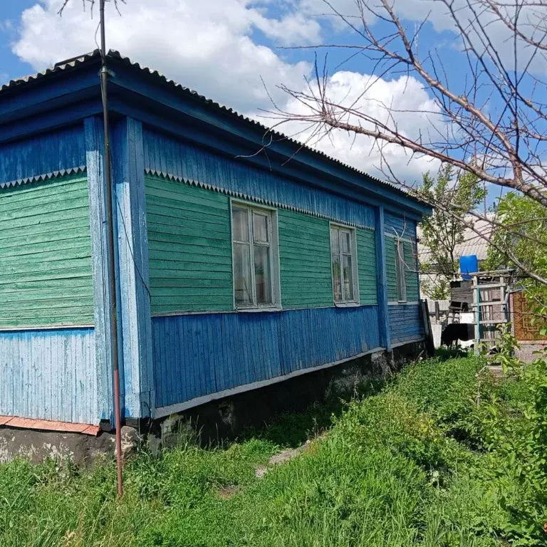 Дом в Воронежская область, Аннинское городское поселение, Анна пгт ул. ... - Фото 1