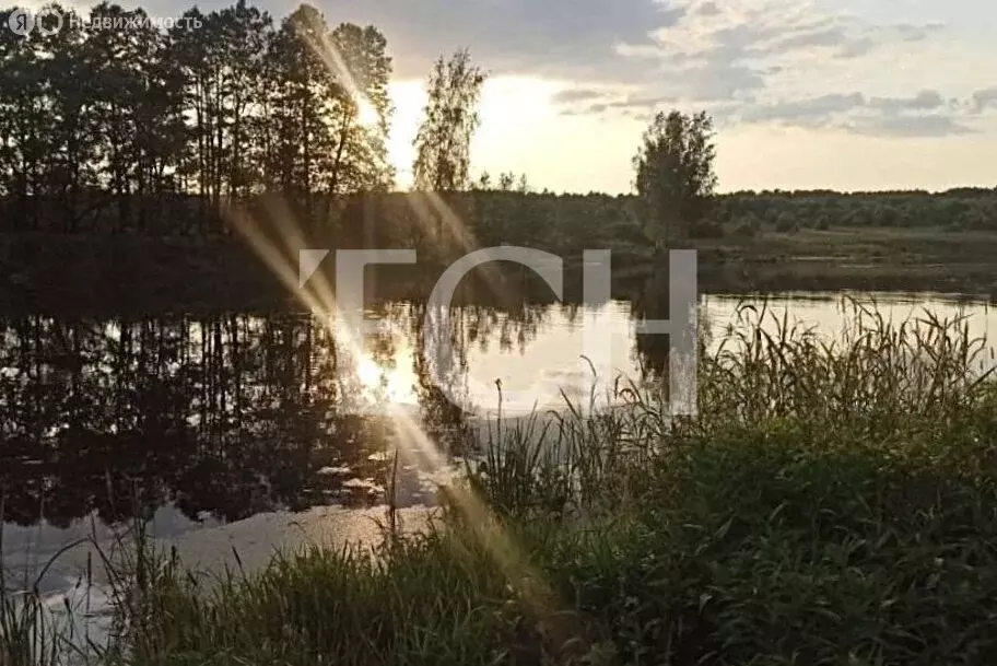 Участок в Заокский район, сельское поселение Демидовское, КП Лес удач, ... - Фото 1