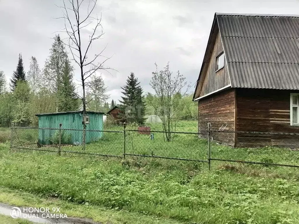 Дом в Коми, Сыктывдинский район, с. Выльгорт, Клен садоводческое ... - Фото 0