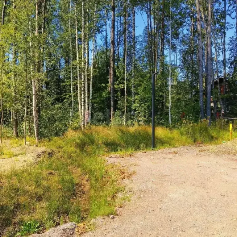 Участок в Ленинградская область, Выборгский район, Первомайское с/пос, ... - Фото 1