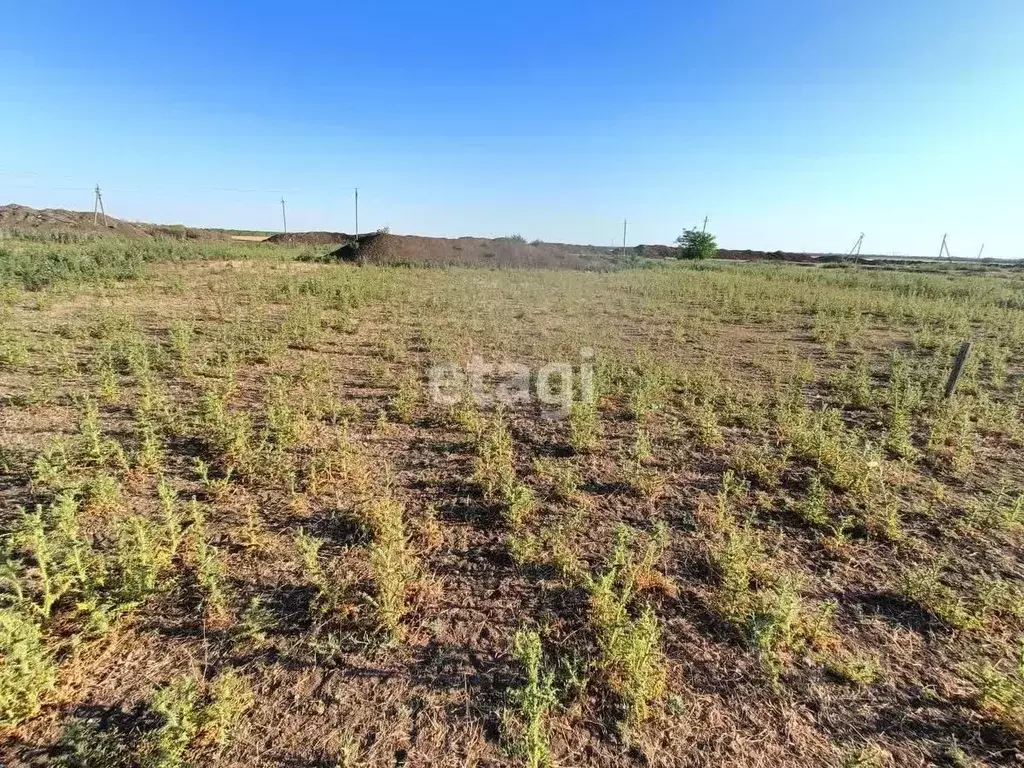Участок в Краснодарский край, Ейский район, Александровское с/пос, с. ... - Фото 1