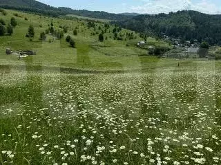 Участок в Алтай, Майминский район, с. Кызыл-Озек ул. Дорожников, 39 ... - Фото 1