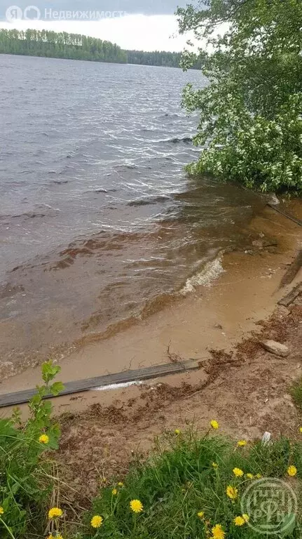 Участок в деревня Шепелёво, улица Ветеранов (15 м) - Фото 1