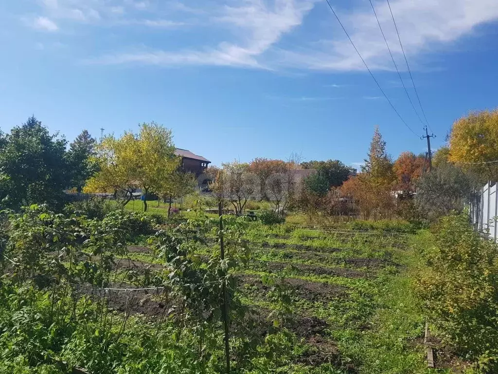Участок в Амурская область, Благовещенск Преображенское СТ,  (7.58 ... - Фото 2