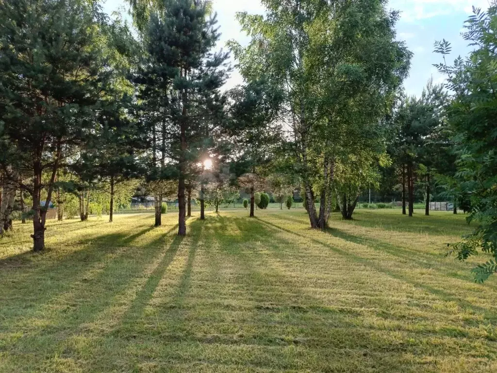 Участок в Псковская область, Печорский муниципальный округ, д. Крупп ... - Фото 1