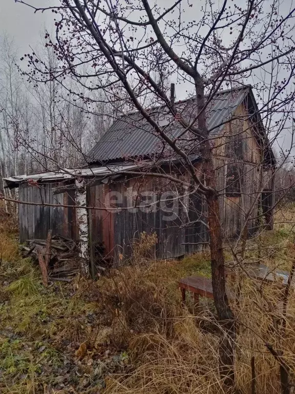 Участок в Свердловская область, Нижний Тагил Роща СНТ, ул. 6-я, 271 ... - Фото 1