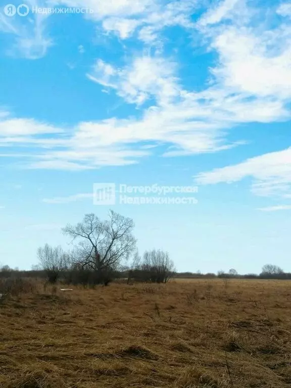 Участок в Новгородская область, Шимское городское поселение, деревня ... - Фото 0