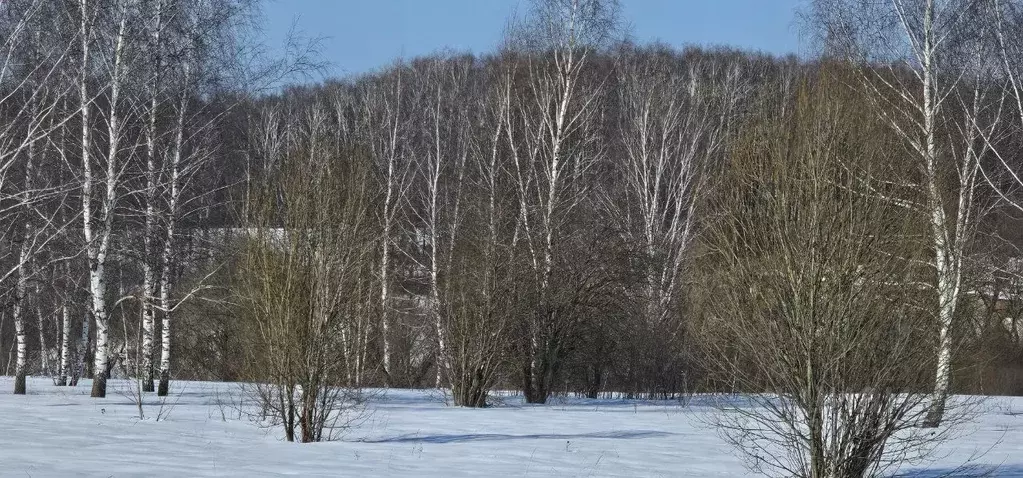 Участок в Московская область, Луховицы  (11.5 сот.) - Фото 1