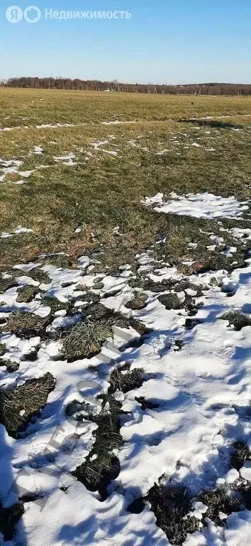 Участок в Белгород, улица Есенина (156 м) - Фото 1